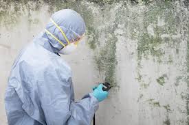 Best Industrial Mold Remediation  in Yoakum, TX